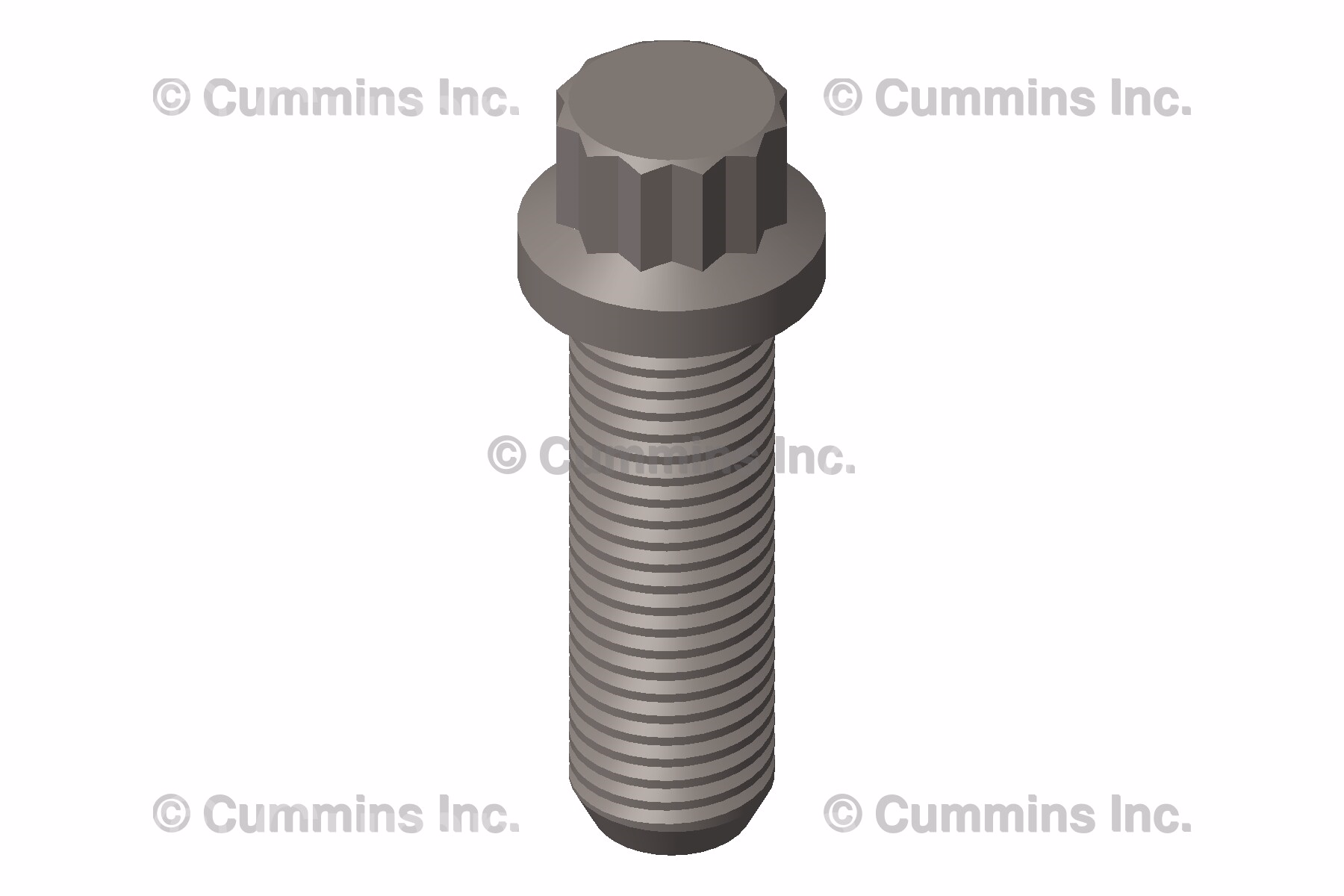 Cummins 153581 Twelve Point Cap Screw
