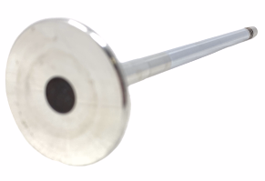 Volvo Truck 21016539 Exhaust Valve