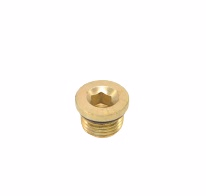 Volvo 21904296 Magnetic Plug