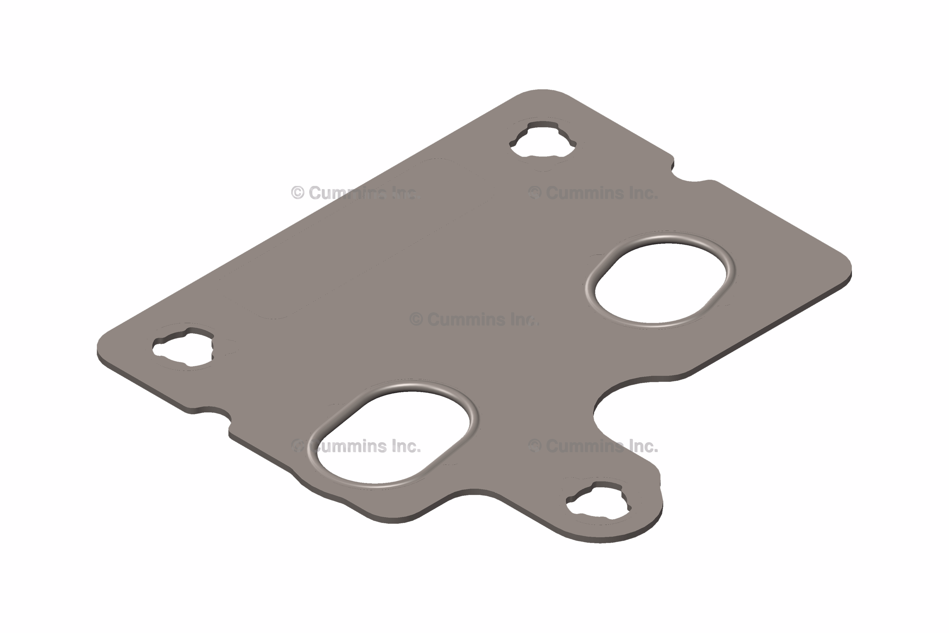 Cummins Engine 4954473 Fuel Pump Gasket 