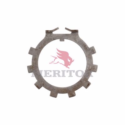 Mack Truck R006141 Lock Washer