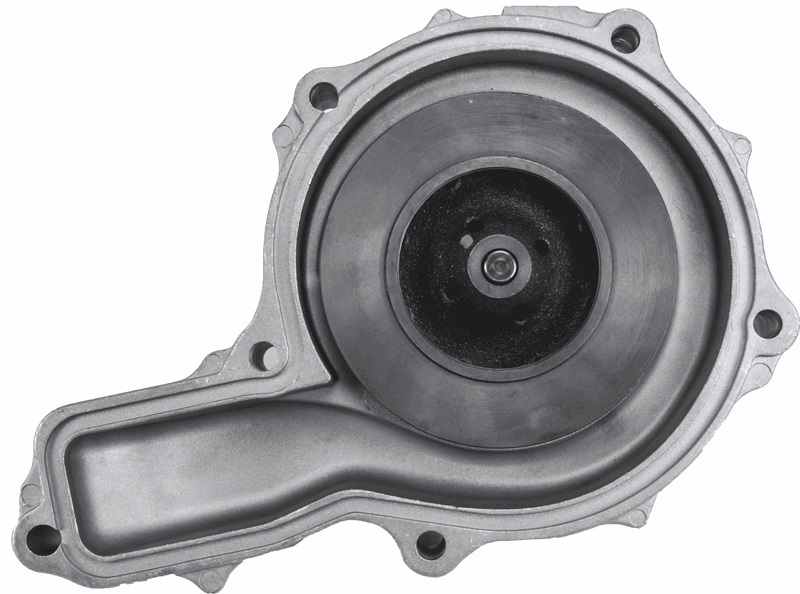 Rig Force RF85151109 Water Pump